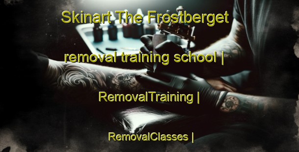 Skinart The Frostberget removal training school | RemovalTraining | RemovalClasses | SkinartTraining-Sweden
